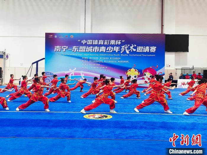 在广西南宁市举行的南宁—东盟城市青少年武术